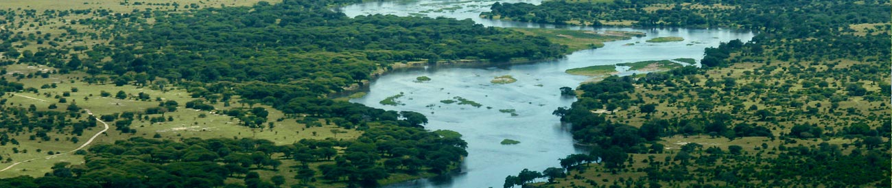 Southern Tanzania Safari Adventure